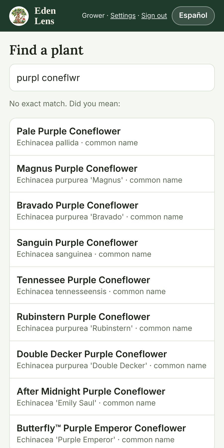 Searching for 'purpl coneflwr' finds the purple coneflowers
